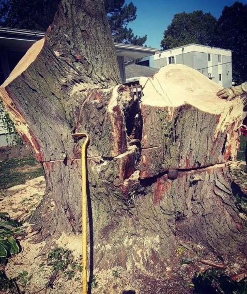 Custom outdoor landscaping in Des Moines, IA - Avery Stump Grinding