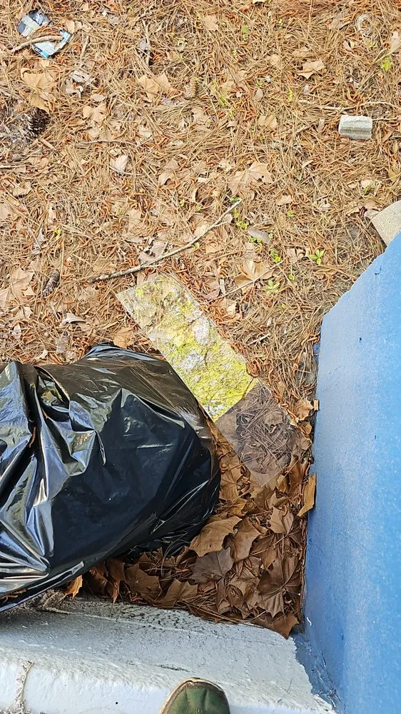 Expert yard maintenance in Wedgefield, SC by Avery's Junk Removal and Demo