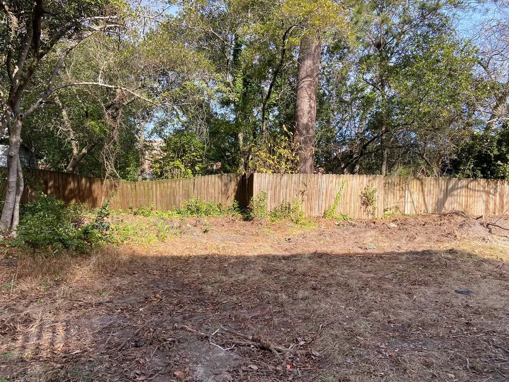 Affordable yard maintenance for year-round maintenance in Wedgefield, SC by Avery's Junk Removal and Demo