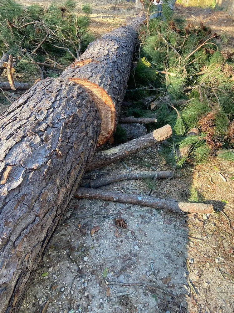 Trusted landscape design for residential properties in Wedgefield, SC by Avery's Junk Removal and Demo