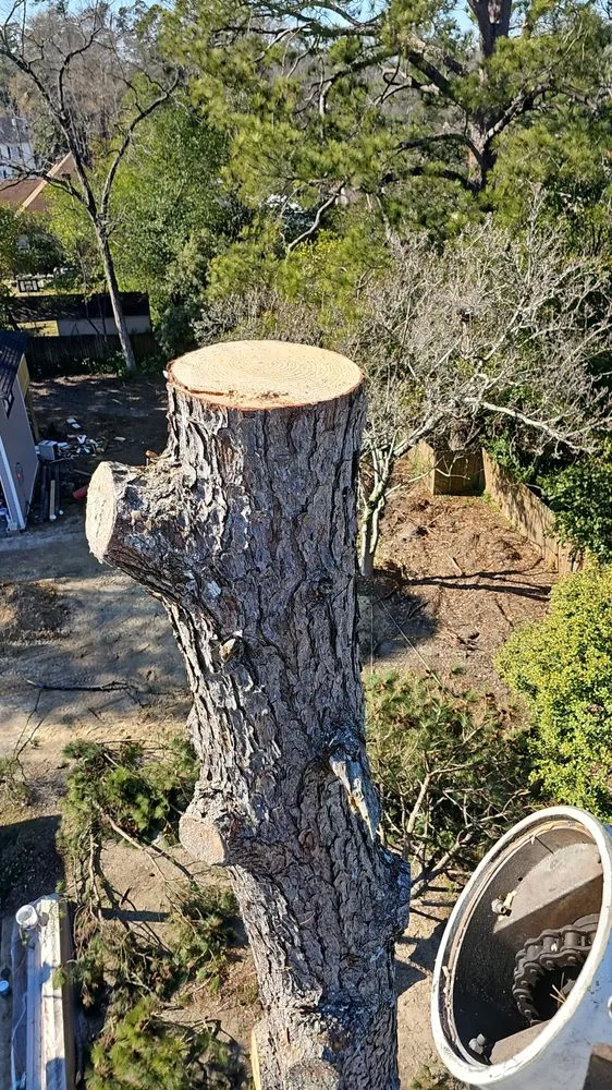 Affordable garden landscaping in Wedgefield, SC - Avery's Junk Removal and Demo