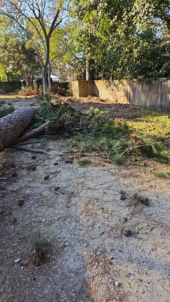 Expert garden landscaping in Wedgefield, SC - Avery's Junk Removal and Demo