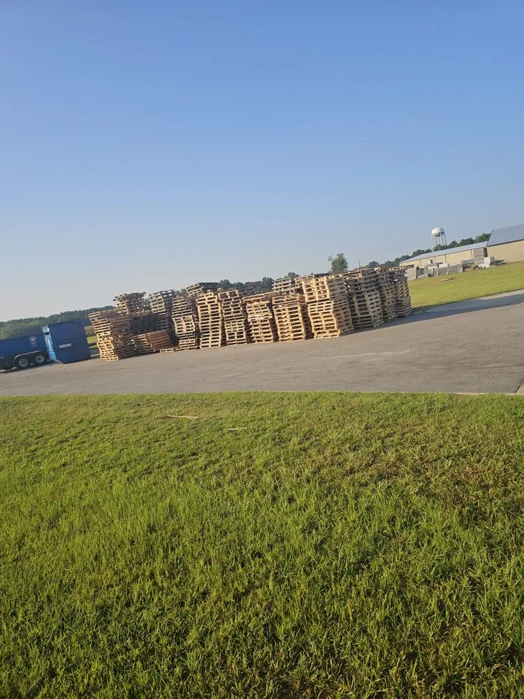 Custom landscape installation for residential properties across Wedgefield, SC - Avery's Junk Removal and Demo