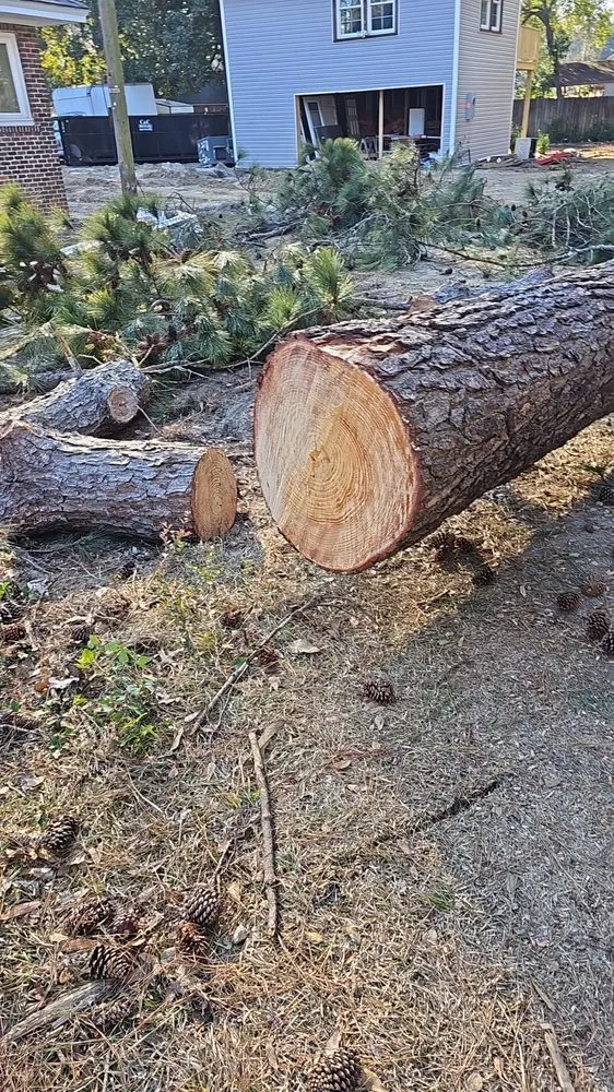 Reliable lawn care service for year-round maintenance across Wedgefield, SC - Avery's Junk Removal and Demo