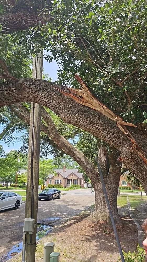 Local landscaping services in Wedgefield, SC by Avery's Junk Removal and Demo