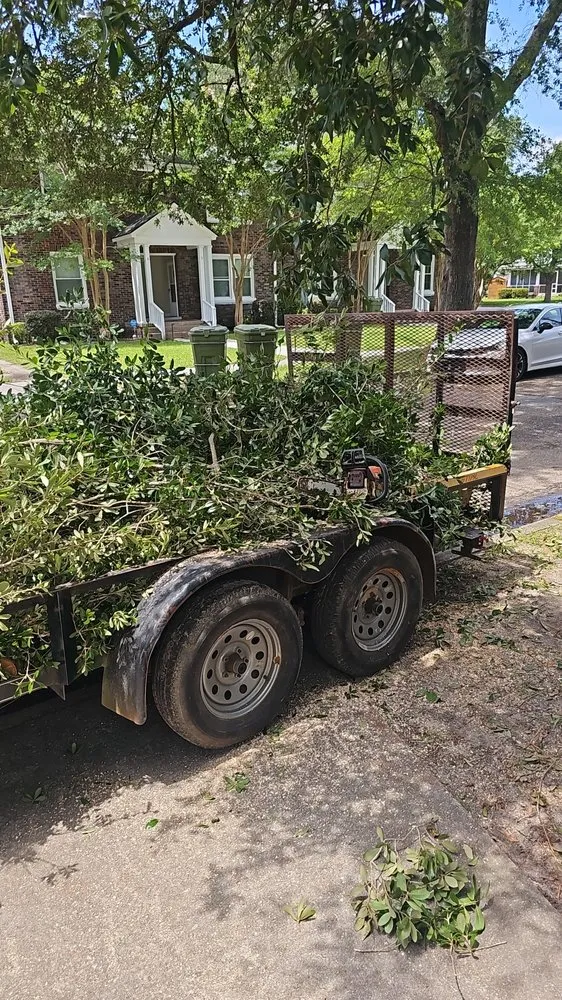 Reliable landscaping services for beautiful yards in Wedgefield, SC by Avery's Junk Removal and Demo