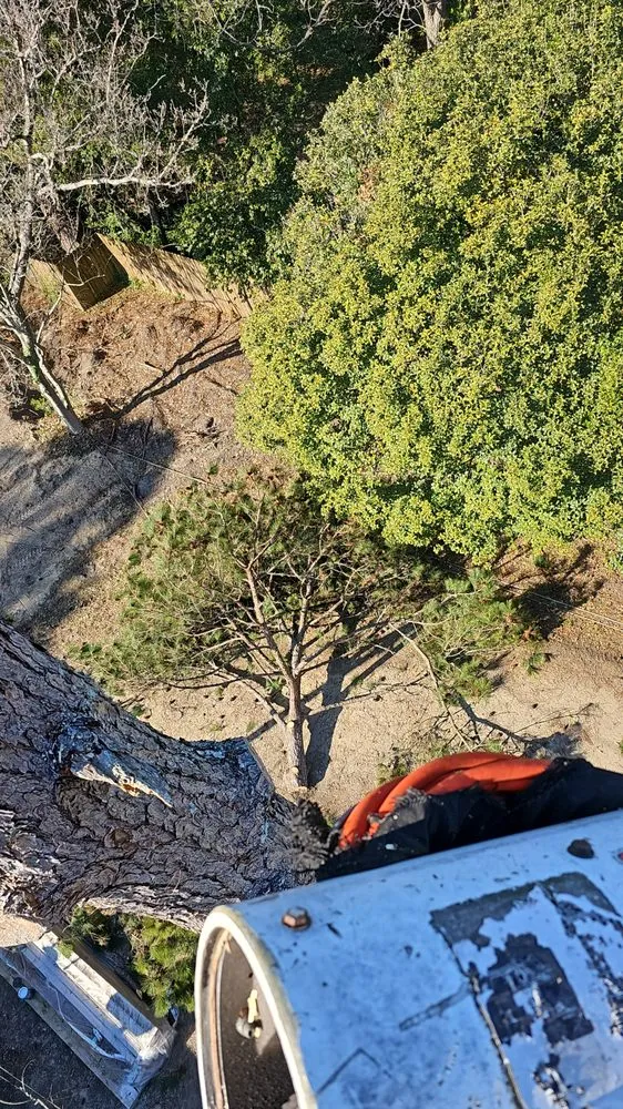 Professional lawn mowing service in Wedgefield, SC - Avery's Junk Removal and Demo