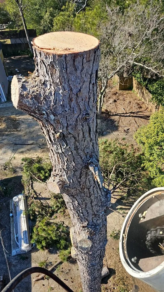 Custom yard maintenance for homes in Wedgefield, SC by Avery's Junk Removal and Demo