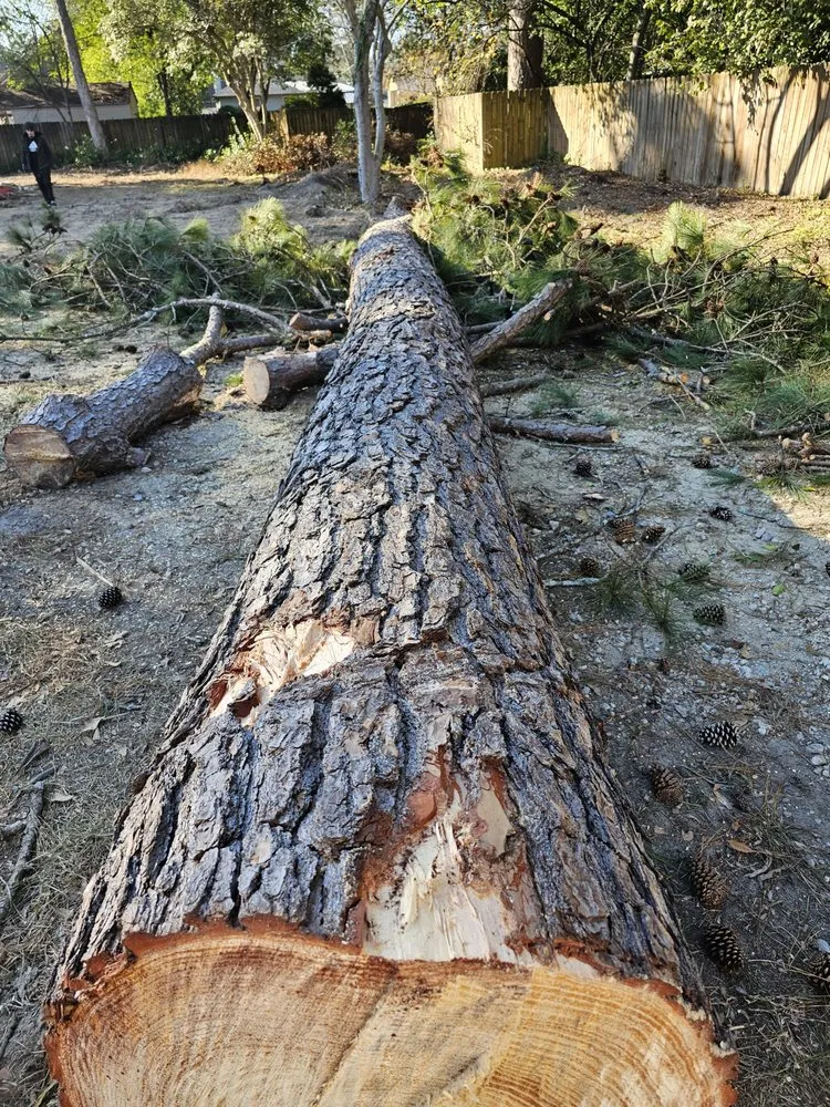 Reliable landscaping services experts serving Wedgefield, SC - Avery's Junk Removal and Demo