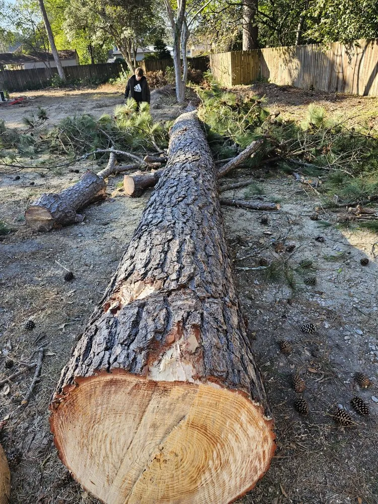 Expert yard maintenance for beautiful yards in Wedgefield, SC by Avery's Junk Removal and Demo