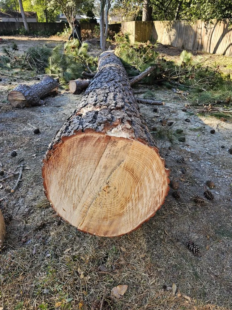 Professional garden landscaping in Wedgefield, SC by Avery's Junk Removal and Demo