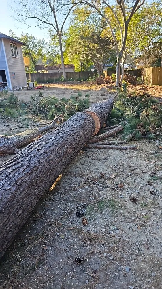 Top-rated lawn care service in Wedgefield, SC - Avery's Junk Removal and Demo