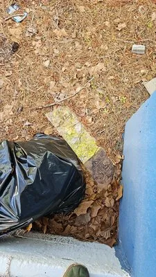 Avery's Junk Removal and Demo