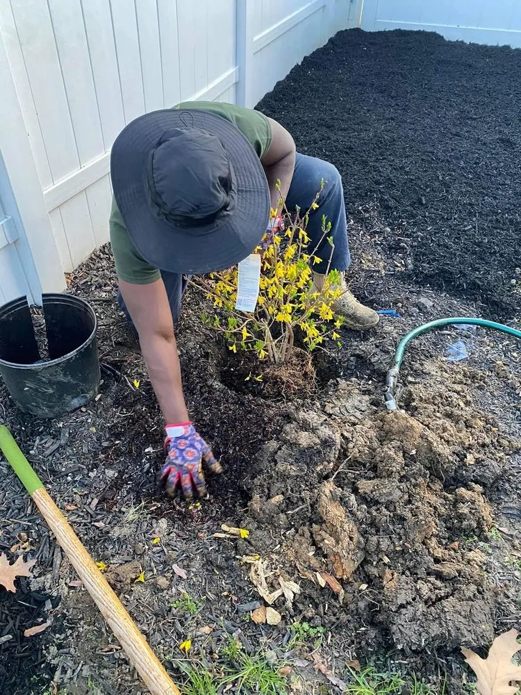 Custom yard cleanup service for residential properties in Folcroft, PA by AVI & Ade lawn services