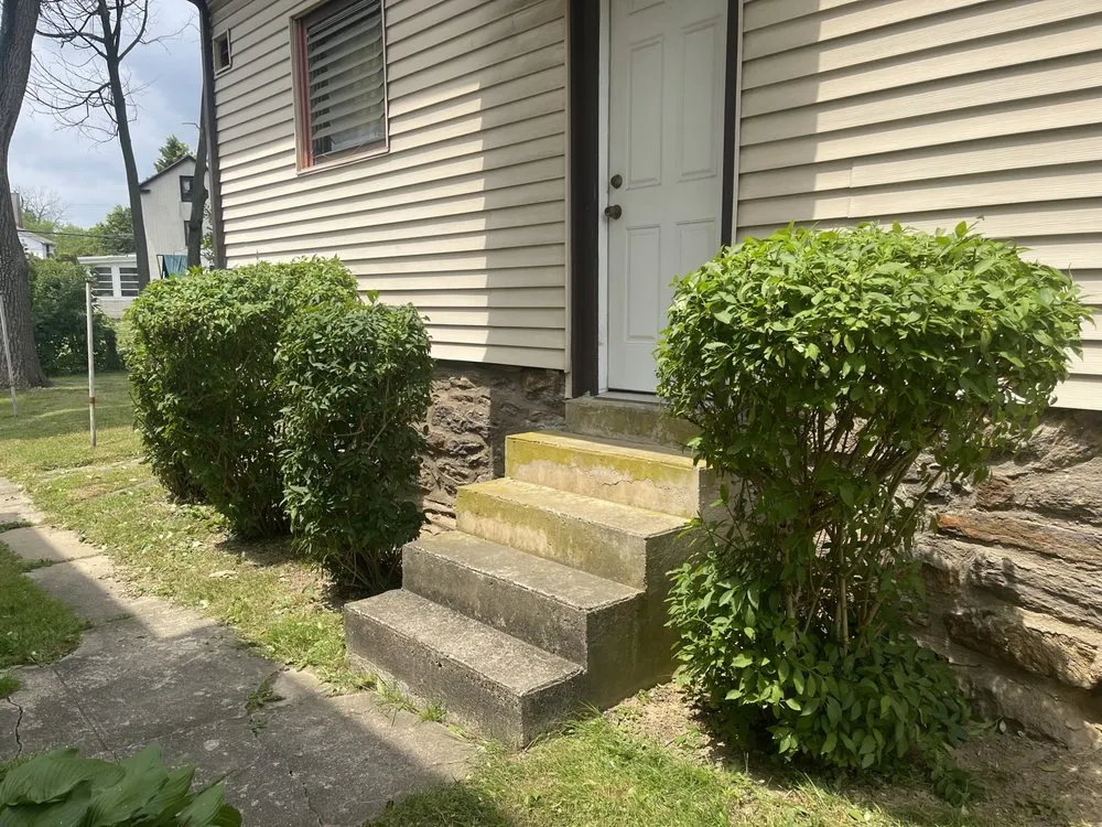 Reliable lawn care service for beautiful yards across Folcroft, PA - AVI & Ade lawn services