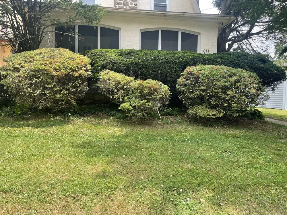 Reliable yard maintenance near you in Folcroft, PA by AVI & Ade lawn services