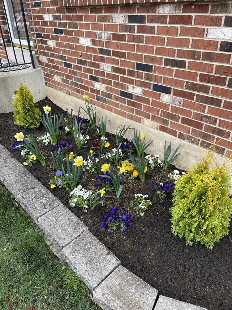 Trusted lawn mowing service experts serving Folcroft, PA - AVI & Ade lawn services