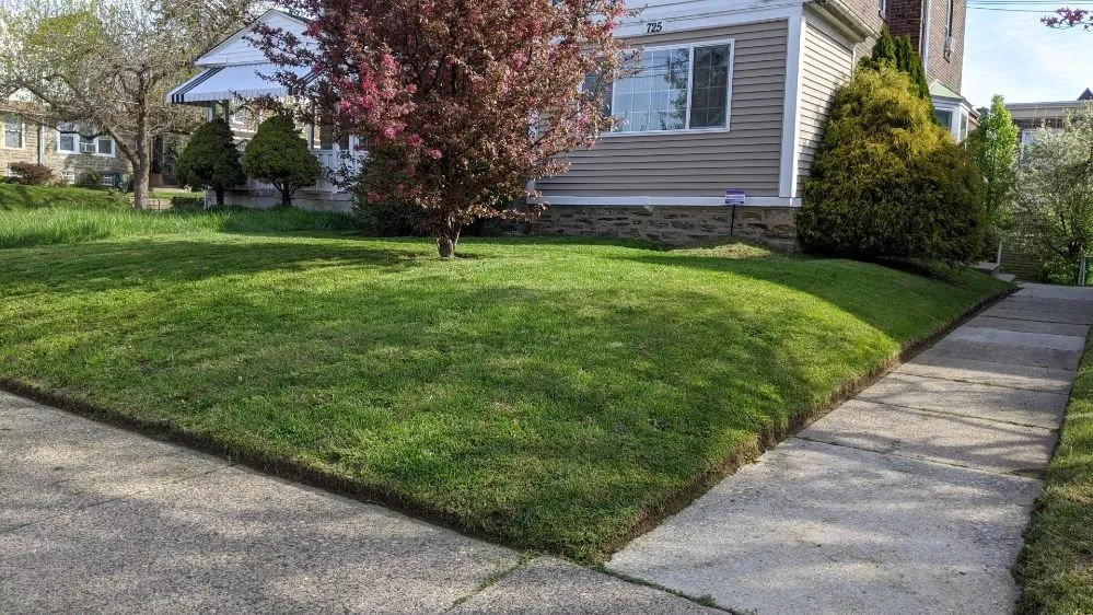 Local garden landscaping in Folcroft, PA by AVI & Ade lawn services