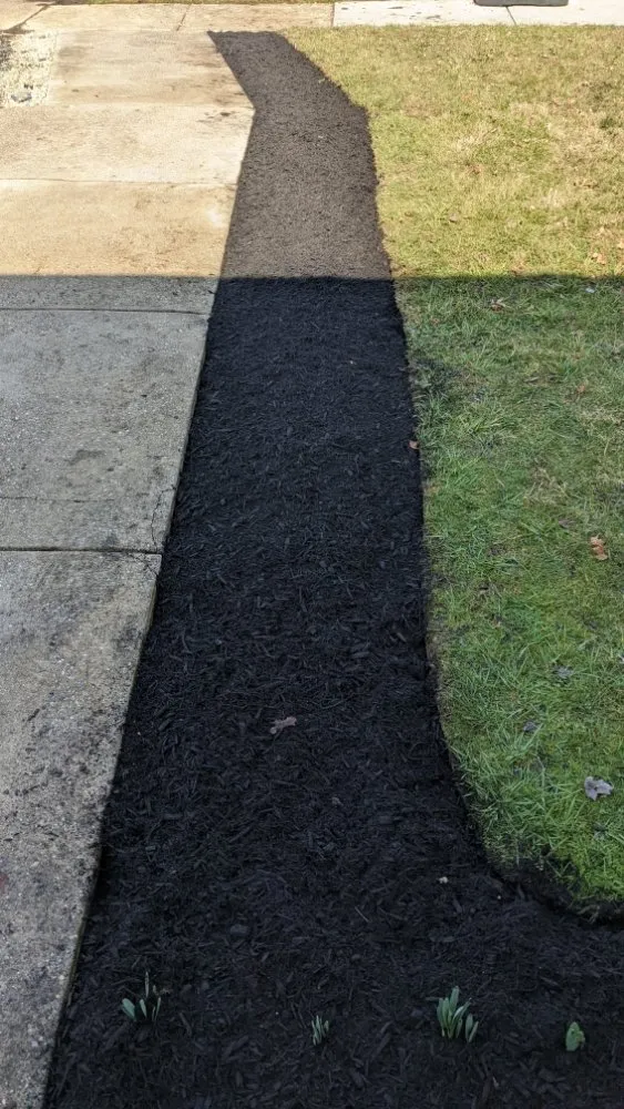 Custom yard cleanup service in Folcroft, PA - AVI & Ade lawn services