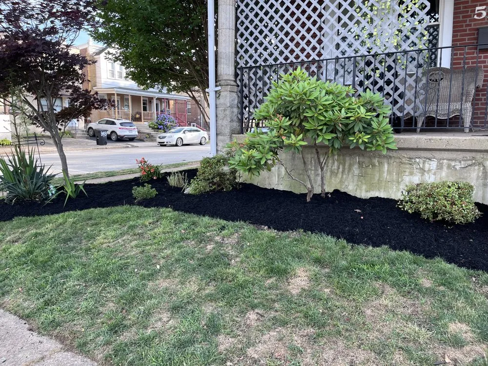 Trusted lawn care service near you in Folcroft, PA by AVI & Ade lawn services