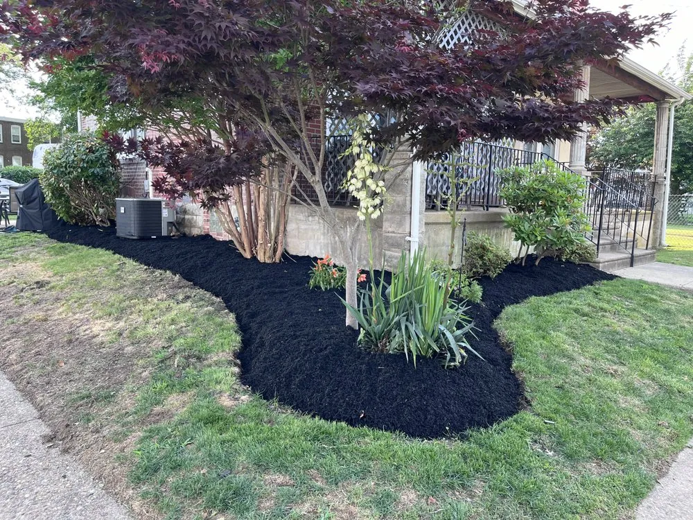 Trusted lawn care service in Folcroft, PA by AVI & Ade lawn services