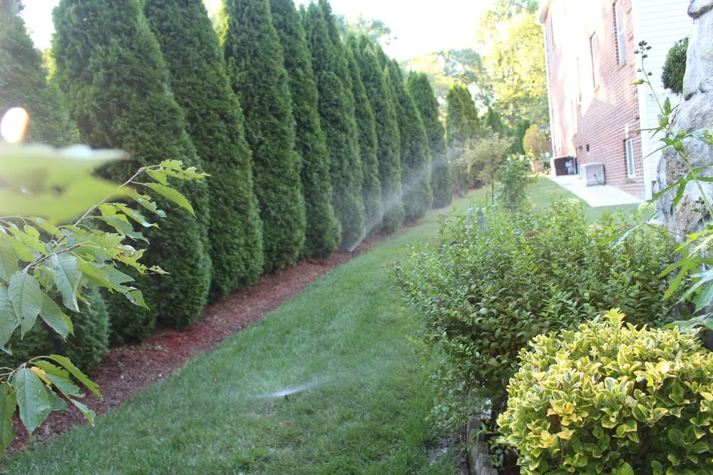 Local yard maintenance in Woodbridge, VA by Avi Irrigation Systems