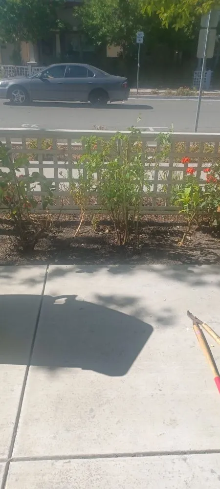 Local garden landscaping for residential properties across Stockton, CA - Avi Landscaping Maintenance