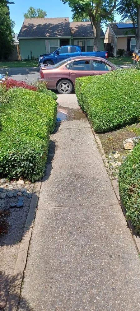 Reliable lawn mowing service in Stockton, CA by Avi Landscaping Maintenance