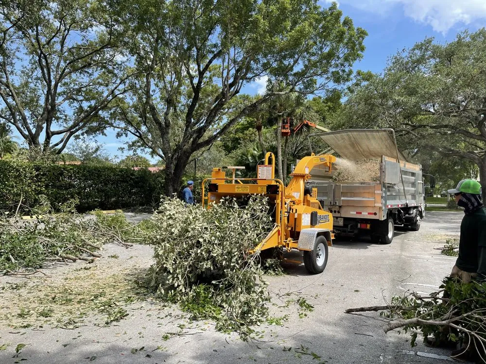 Local outdoor landscaping for residential properties across Parkland, FL - Aviator Dreamscapes