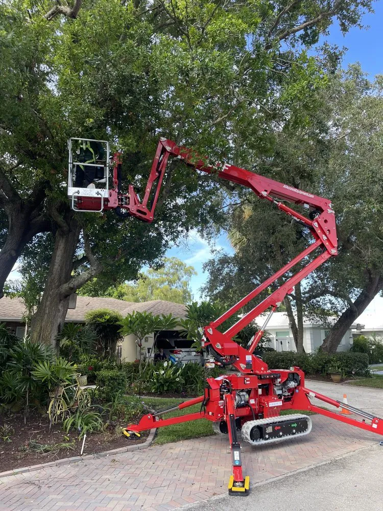 Affordable lawn care service for year-round maintenance across Parkland, FL - Aviator Dreamscapes
