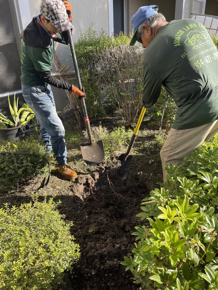 Top-rated lawn care service with custom design across Parkland, FL - Aviator Dreamscapes