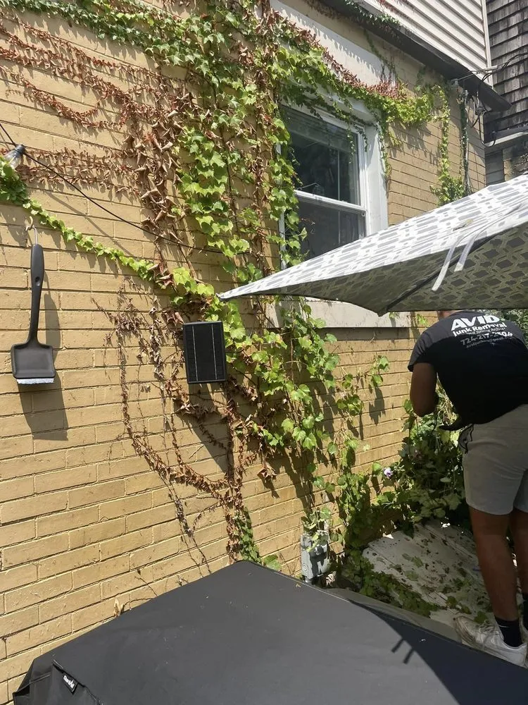 Local landscape design near you in Jeannette, PA by Avid Junk Removal