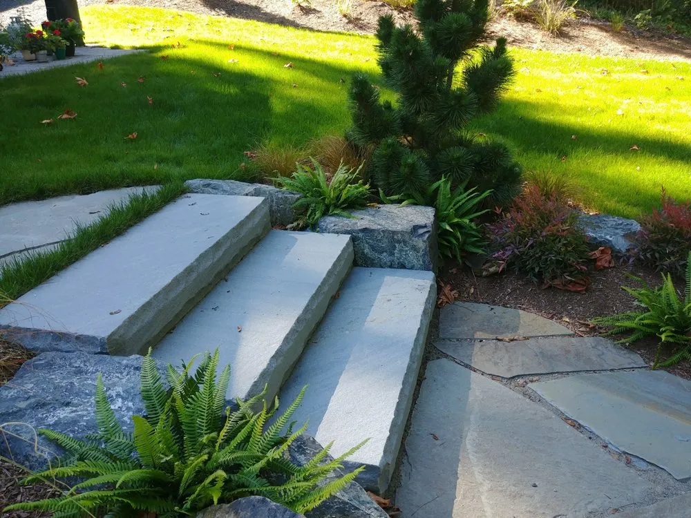 Local lawn mowing service in Edmonds, WA by Avid Landscape Management