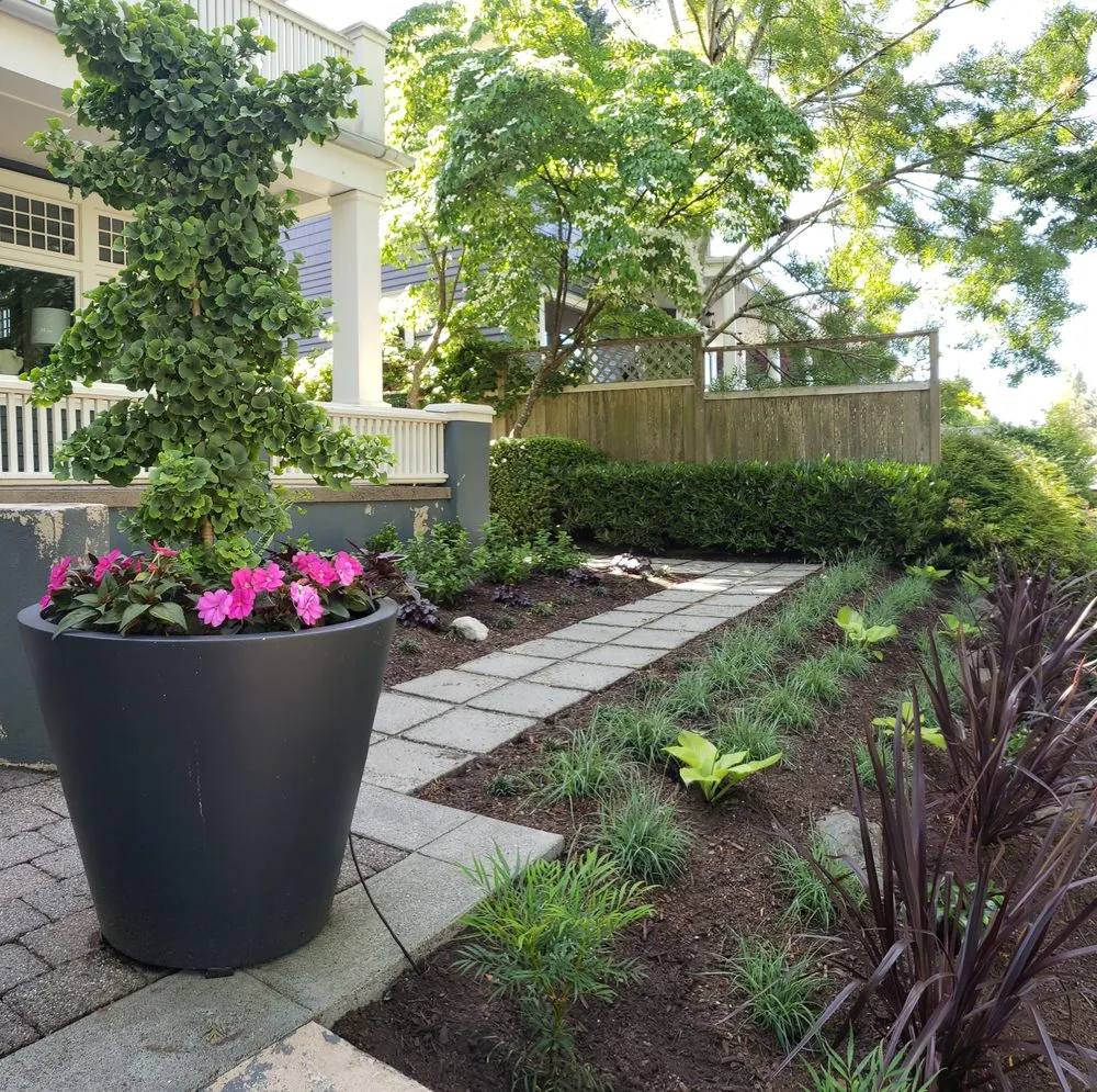 Top-rated yard cleanup service in Edmonds, WA by Avid Landscape Management