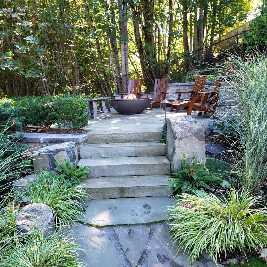 Professional yard cleanup service in Edmonds, WA - Avid Landscape Management