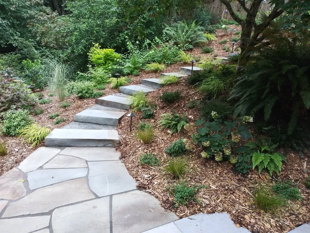 Professional lawn care service for year-round maintenance across Edmonds, WA - Avid Landscape Management