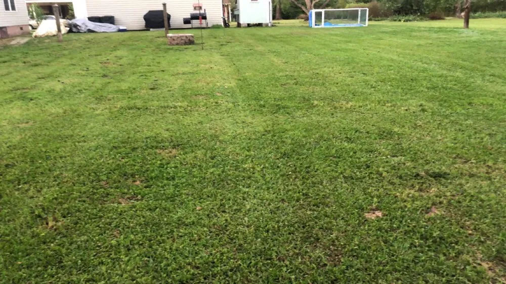 Professional lawn care service near you in Maple Hill, NC by Avid landscaping