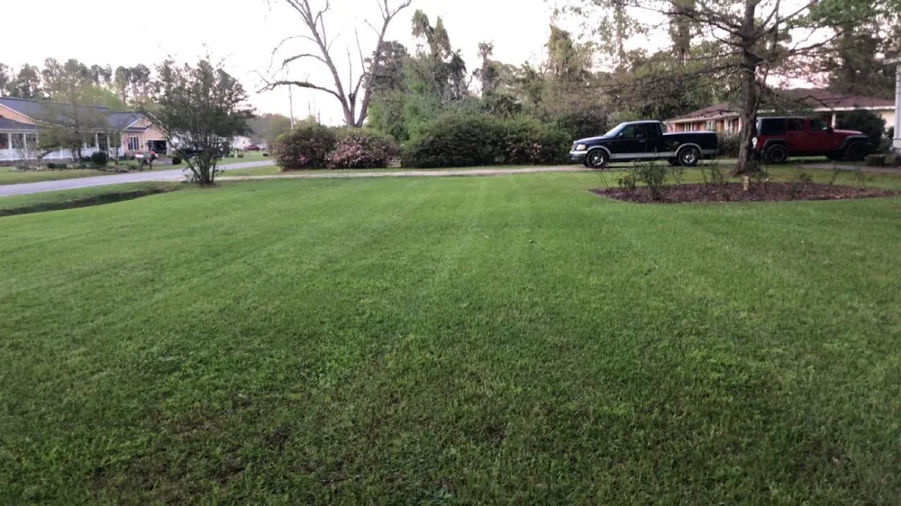 Professional lawn care service experts serving Maple Hill, NC - Avid landscaping