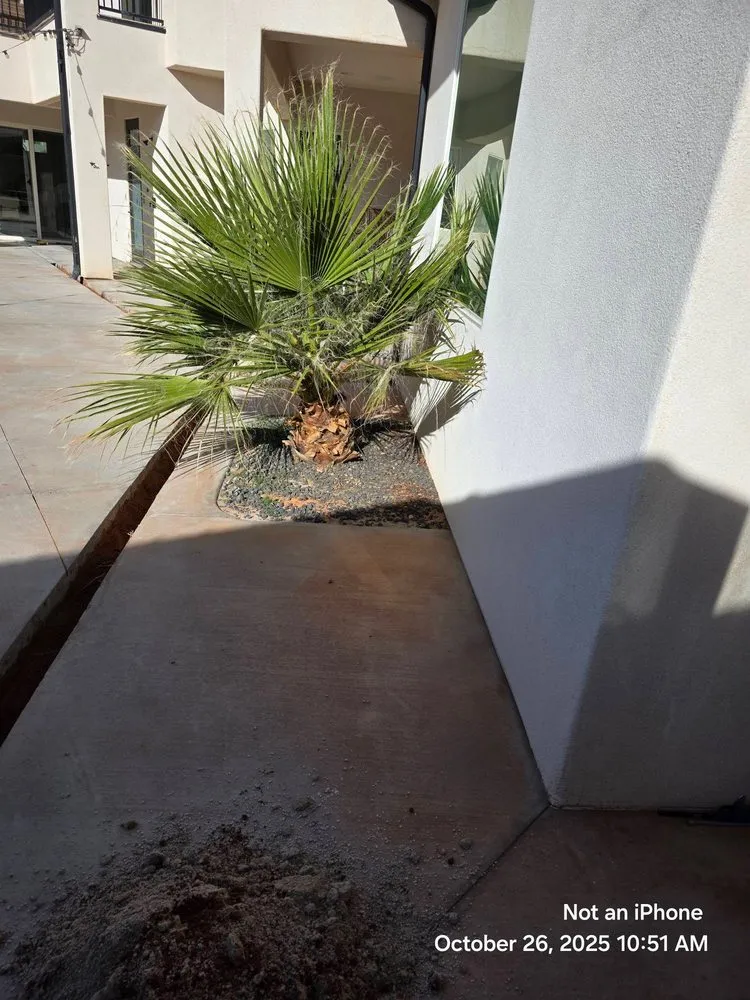 Local lawn care service in St. George, UT by Avid Turf