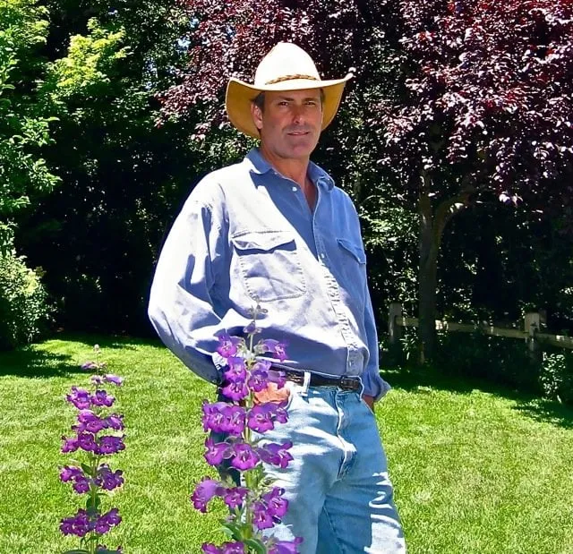 Professional landscape design for year-round maintenance across Greenbrae, CA - Avidgreen Fine Landscaping and Vineyards