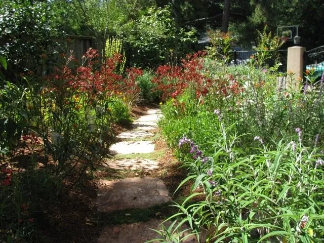 Custom landscape installation near you in Greenbrae, CA by Avidgreen Fine Landscaping and Vineyards