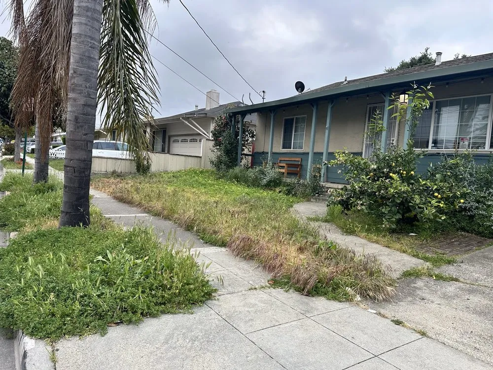 Affordable lawn care service in Fremont, CA - Avid’s Pavers Stones & Landscape