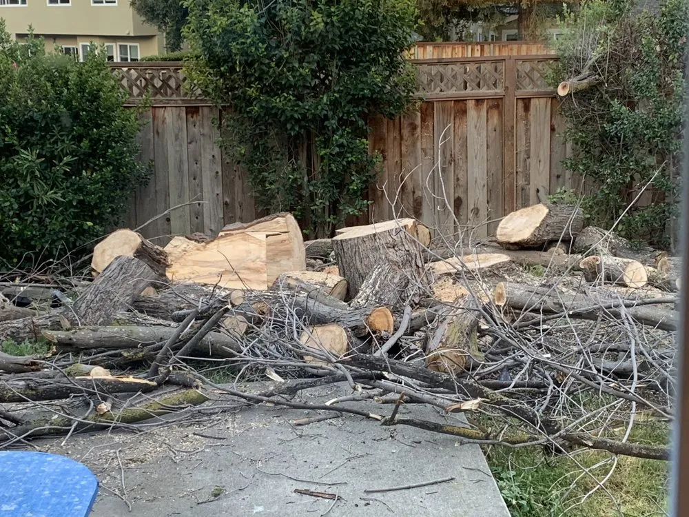 Trusted lawn mowing service for homes in Fremont, CA by Avid’s Pavers Stones & Landscape