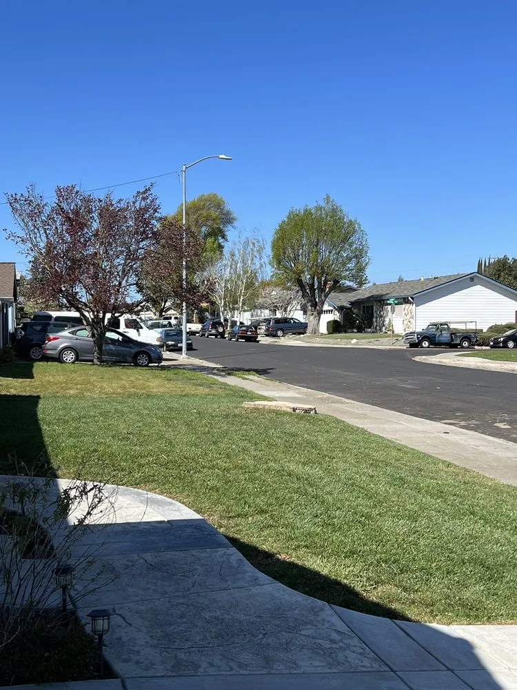 Affordable yard maintenance for homes across Fremont, CA - Avid’s Pavers Stones & Landscape