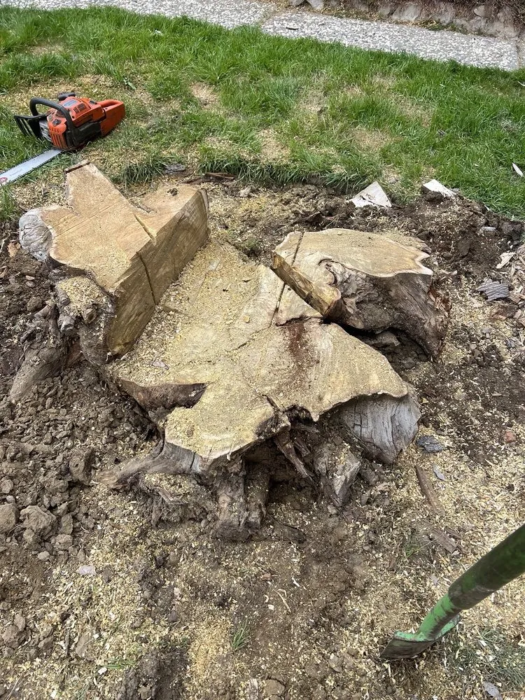 Reliable lawn mowing service in Fremont, CA - Avid’s Pavers Stones & Landscape