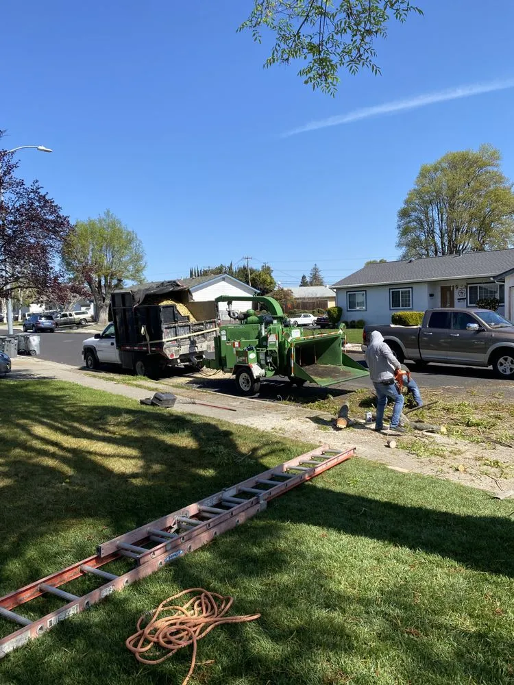Professional residential landscaping experts serving Fremont, CA - Avid’s Pavers Stones & Landscape