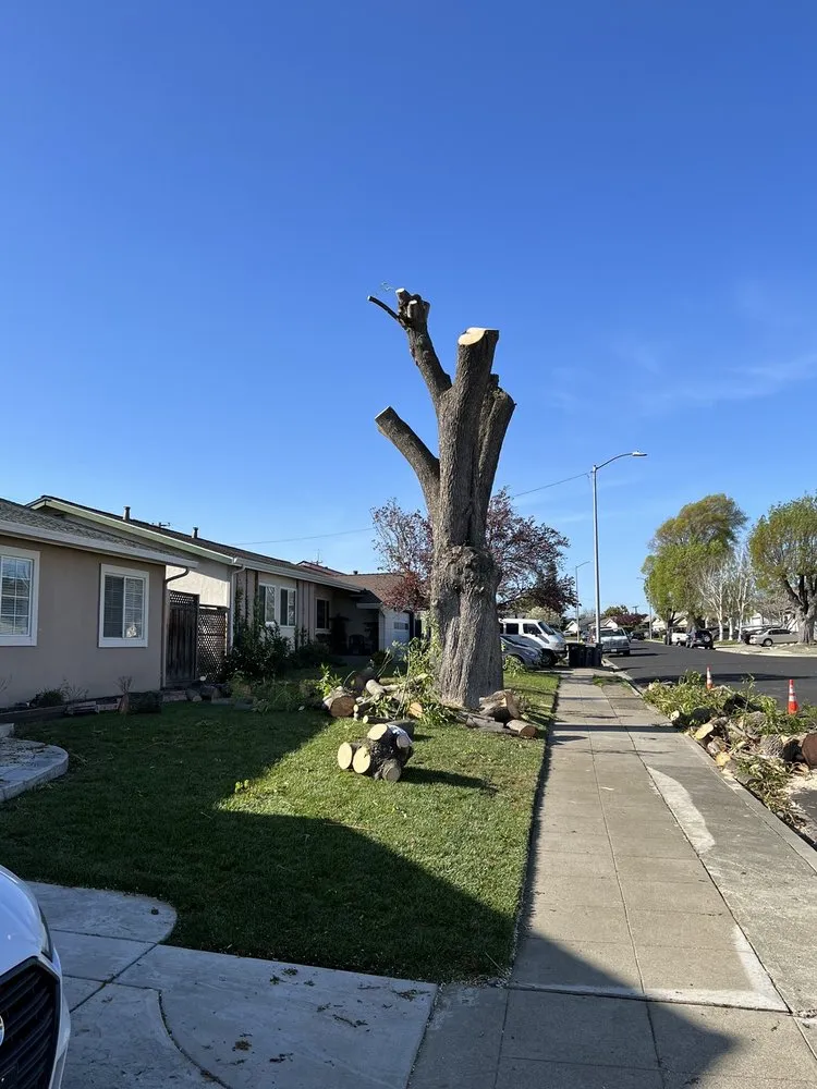 Local residential landscaping for outdoor upgrades in Fremont, CA by Avid’s Pavers Stones & Landscape