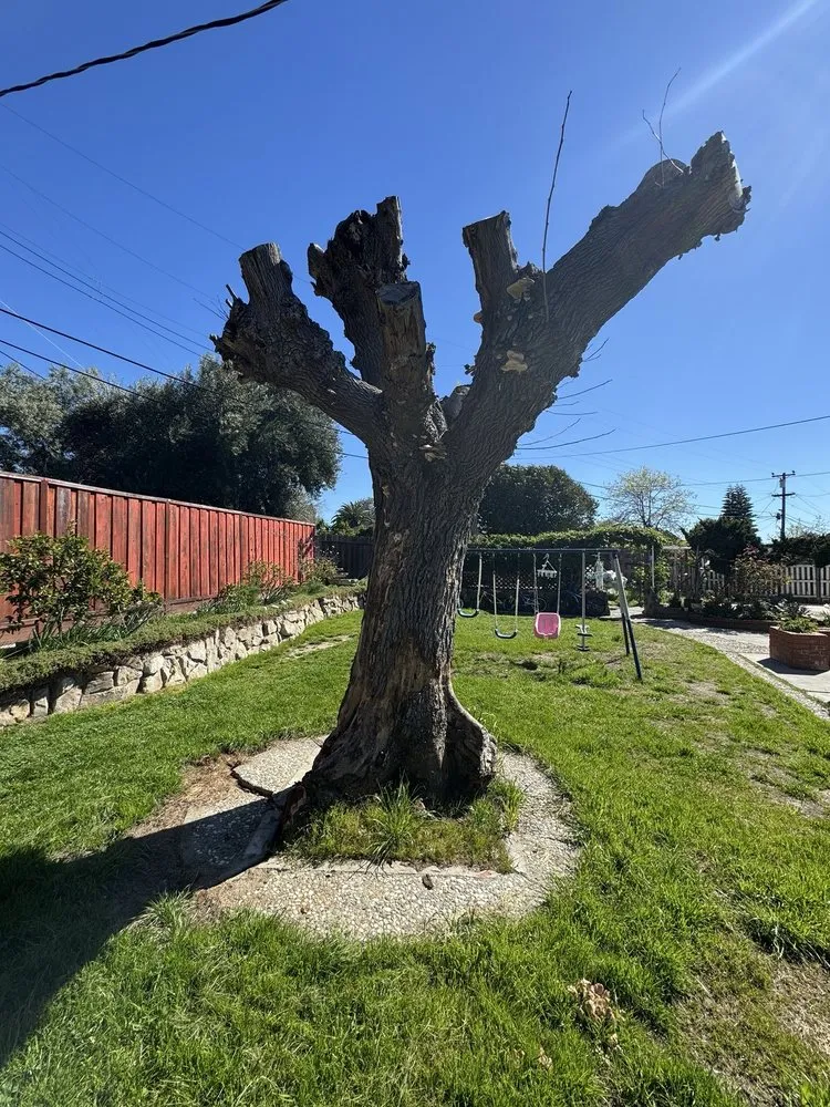 Top-rated landscape installation in Fremont, CA - Avid’s Pavers Stones & Landscape