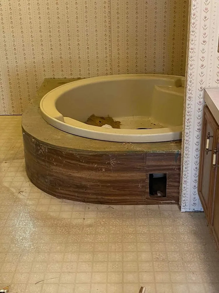 Professional lawn care service in Portage, WI - Avila Construction and Restoration