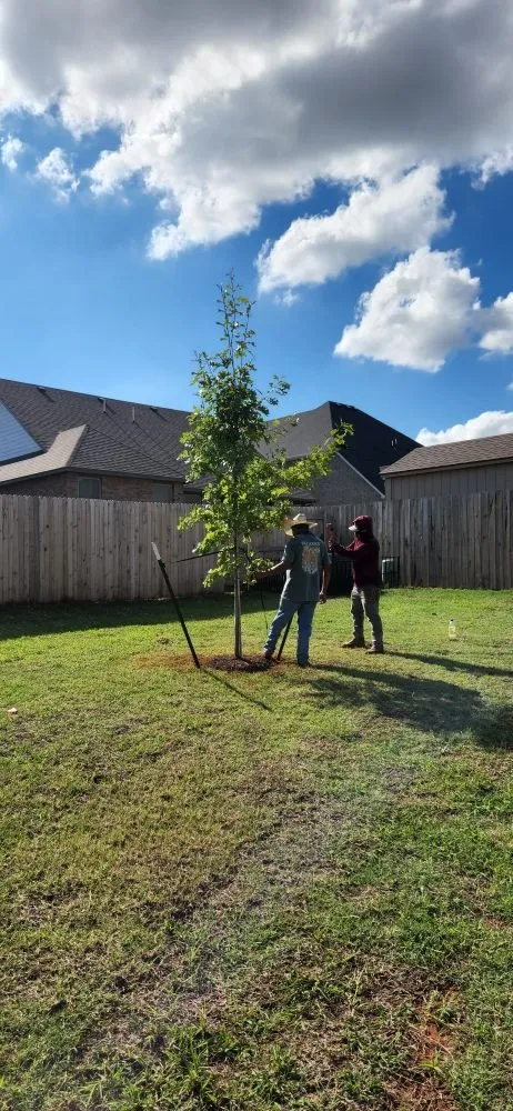 Professional yard maintenance in Edmond, OK - Avila Green Enterprises